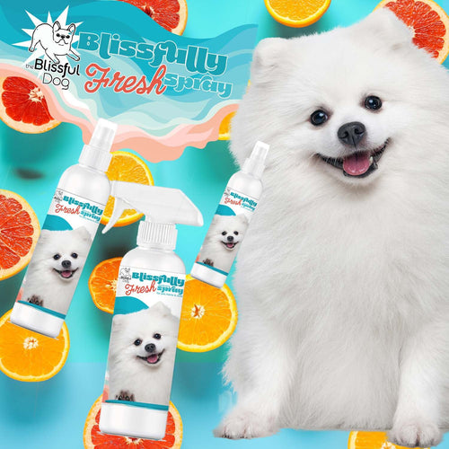 Blissfully Fresh™ Deodorizing Spray by The Blissful Dog