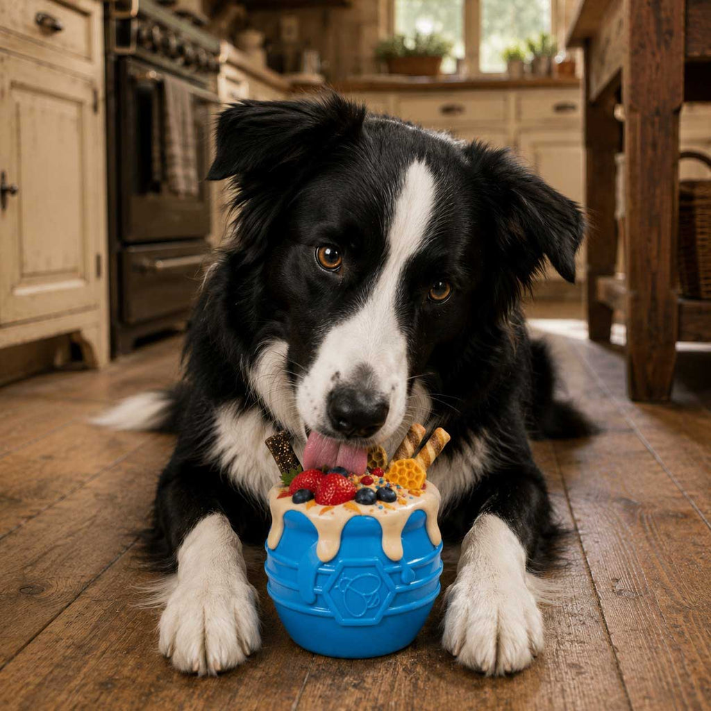 Honey Pot Dog eCup Treat Dispenser | Durable PUP-X Rubber Enrichment Toy | USA Made by SodaPup/True Dogs, LLC