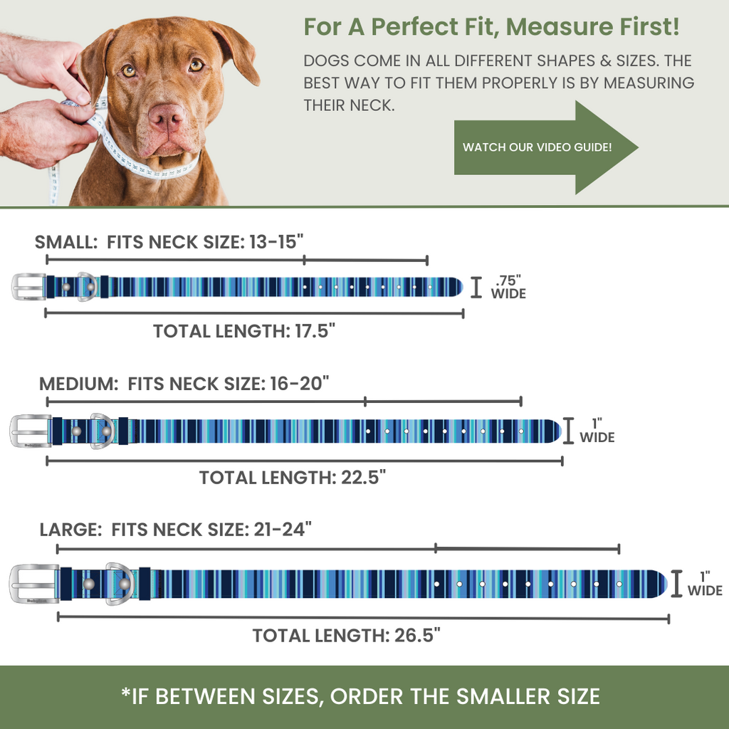 Waterproof Dog Collars – Washable Dog Collar, Stink-Proof & Durable by Rubyloo
