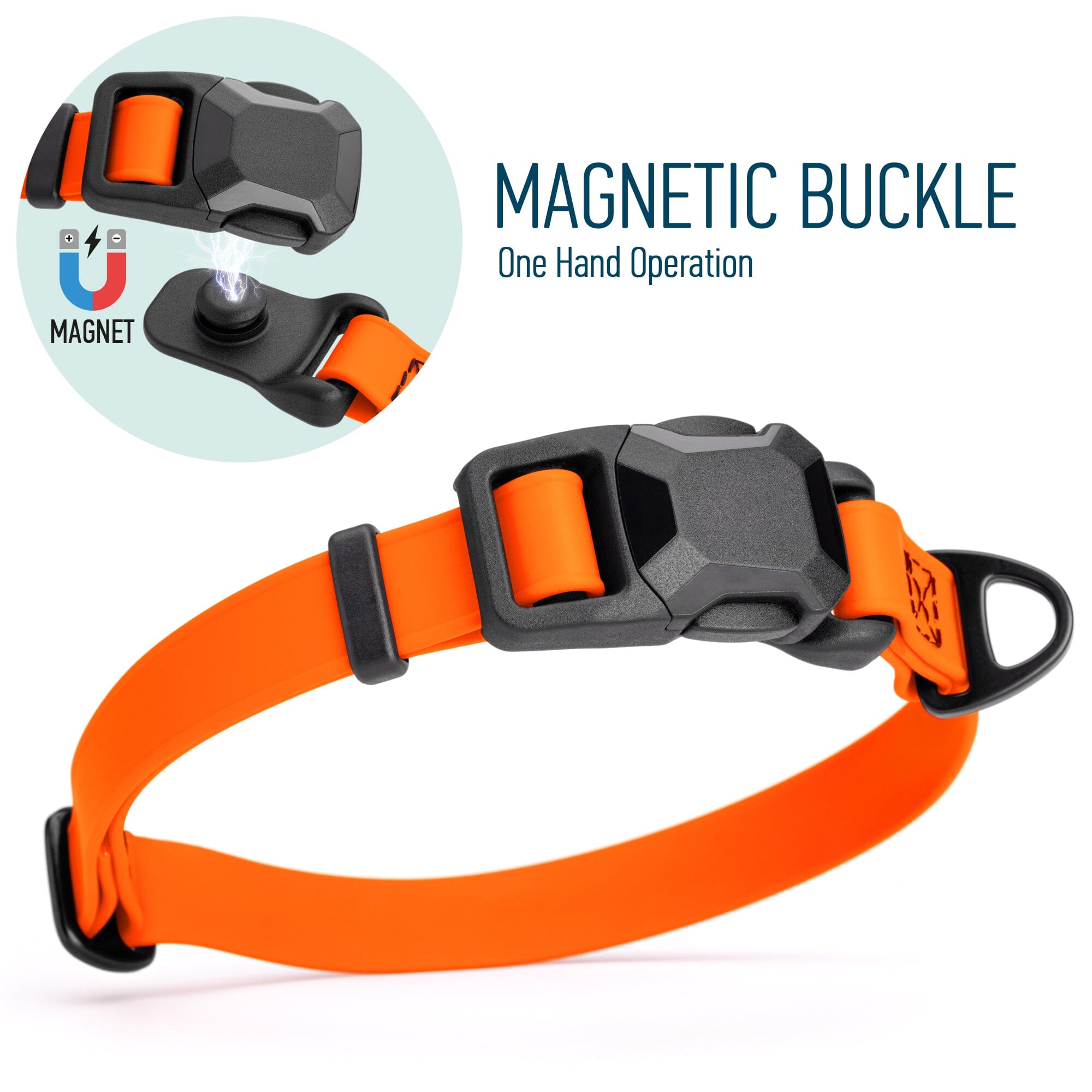 Biothane Waterproof Dog Collar with Magnetic Quick Release Buckle by Dogline
