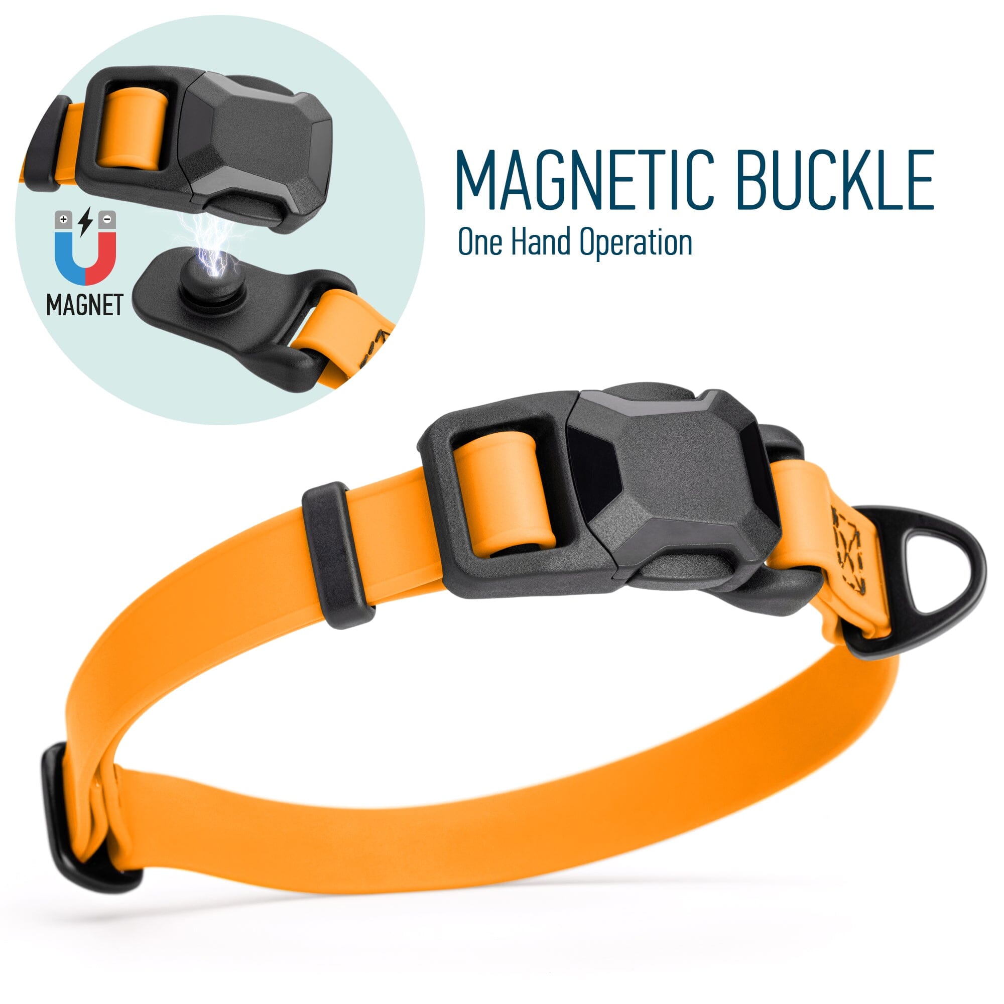 Biothane Waterproof Dog Collar with Magnetic Quick Release Buckle by Dogline