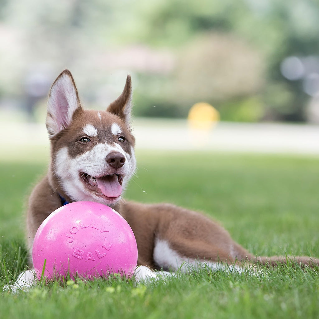 Bounce-n-Play by Jolly Pets