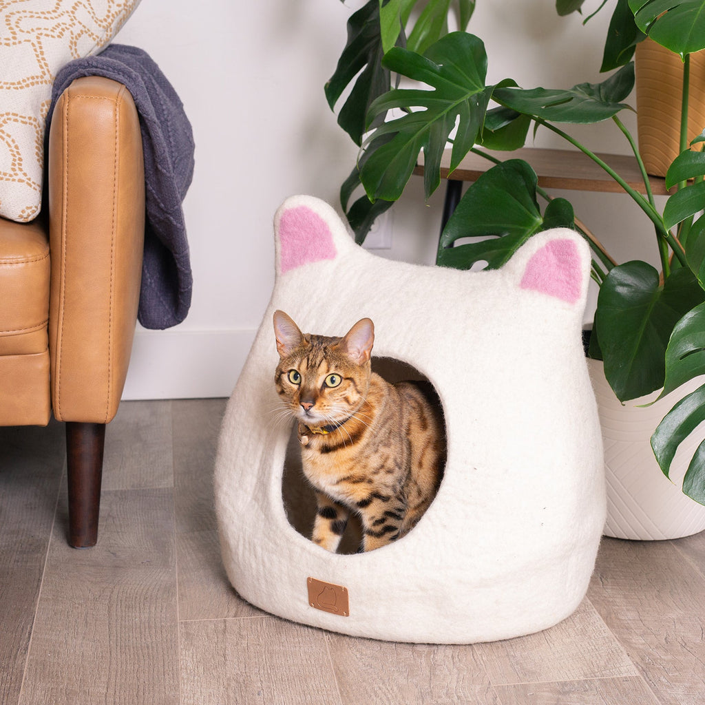 Accent Ears Design | Ear Style Cave by Fuzzy Cove