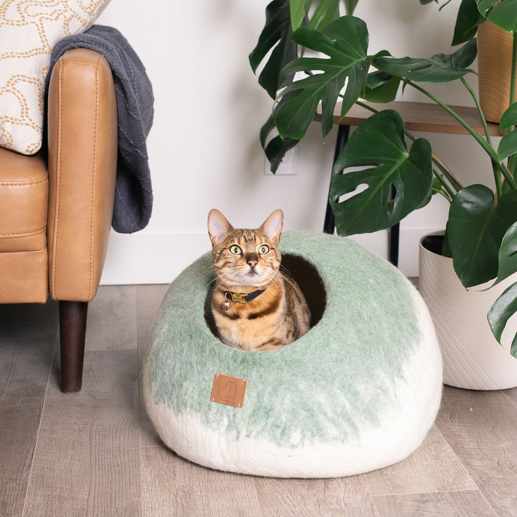 Burst Design | Round Style Cave by Fuzzy Cove