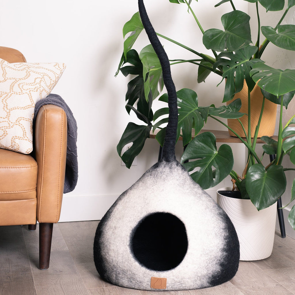 Burst Design | Tail Style Cave by Fuzzy Cove