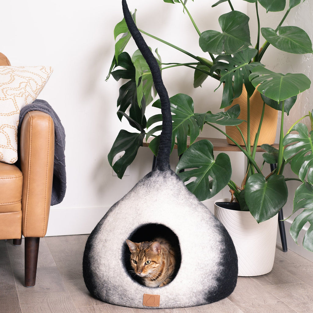 Burst Design | Tail Style Cave by Fuzzy Cove