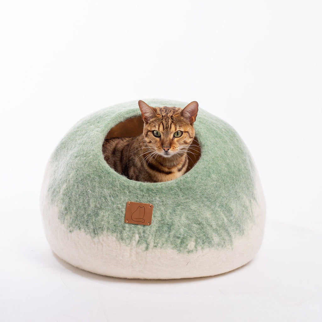 Burst Design | Round Style Cave by Fuzzy Cove