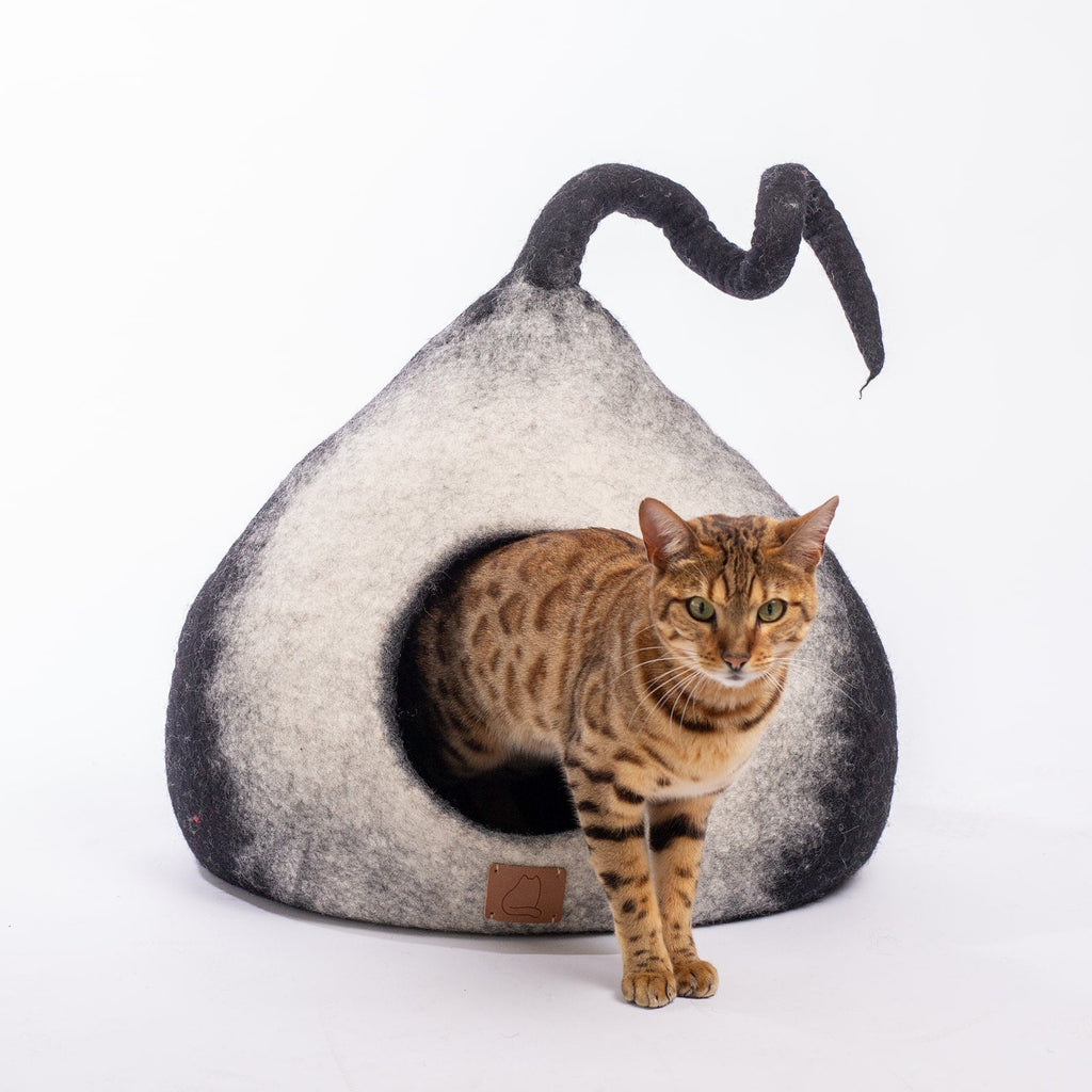 Burst Design | Tail Style Cave by Fuzzy Cove