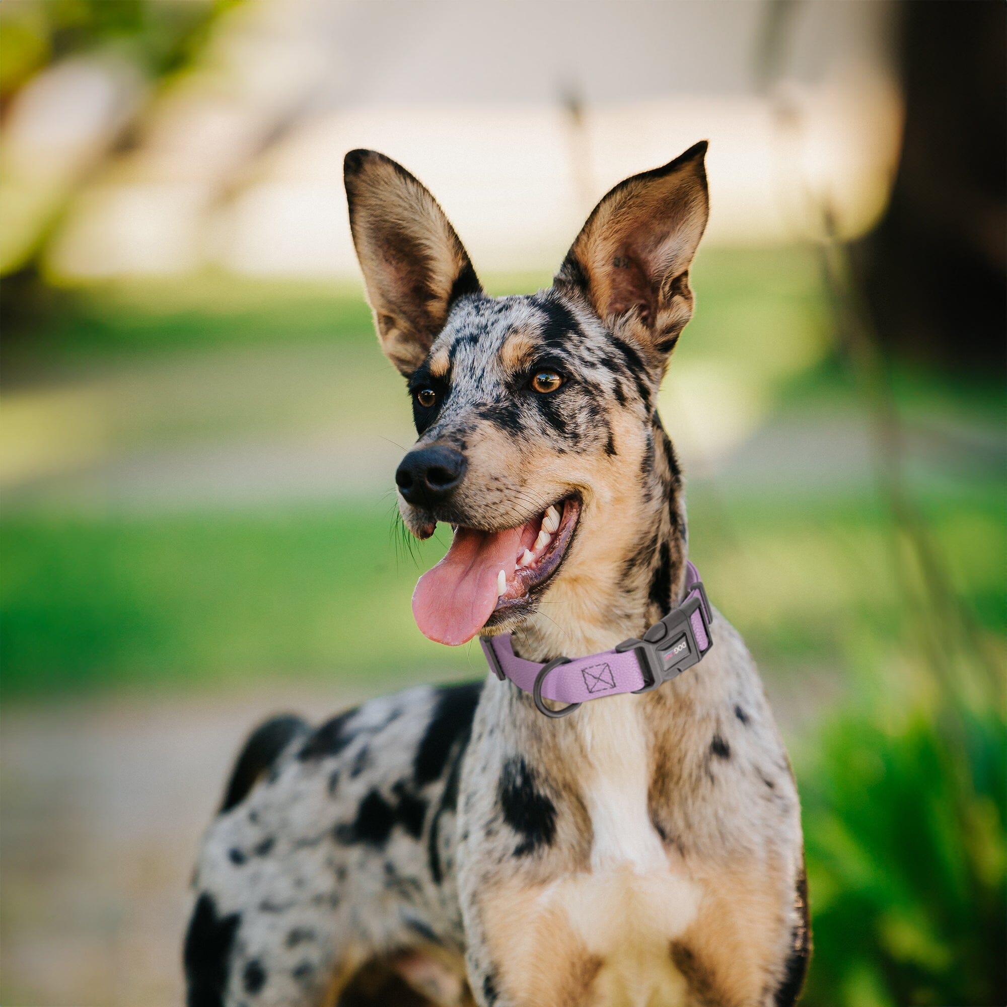 Pebble Emboss Biothane Dog Collar with Quick Release Buckle by Dogline