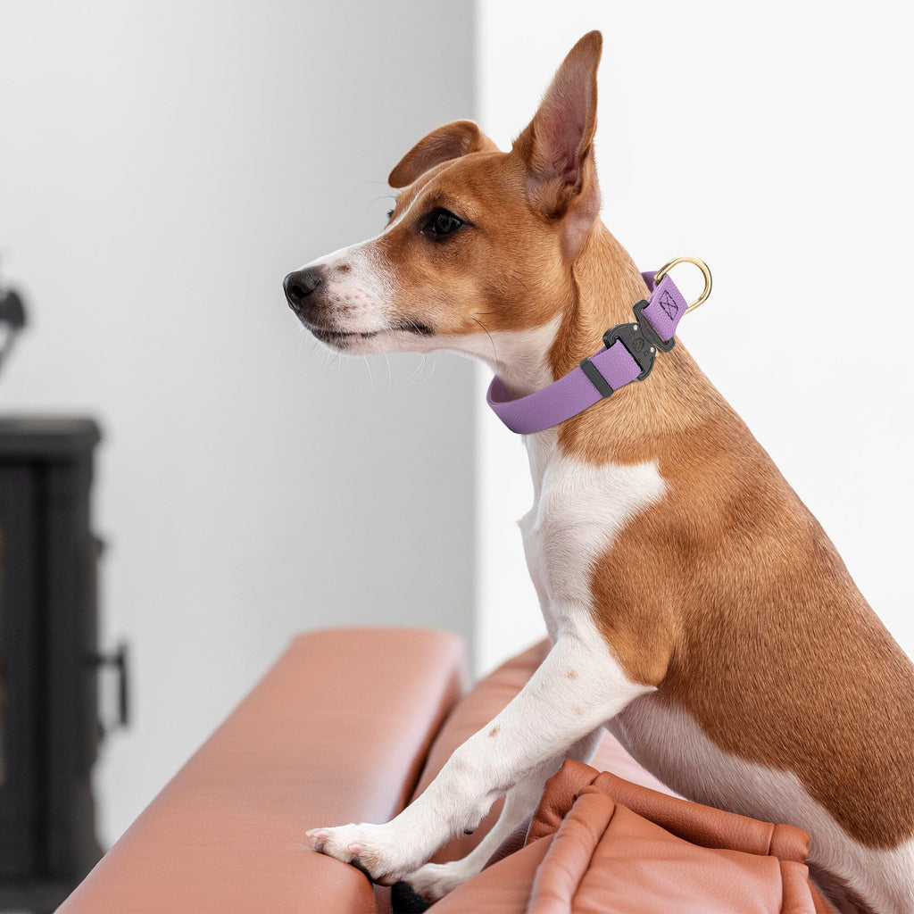 Dogline Pebble Emboss BioThane Dog Collar with Heavy Duty Cobra Buckle by Dogline