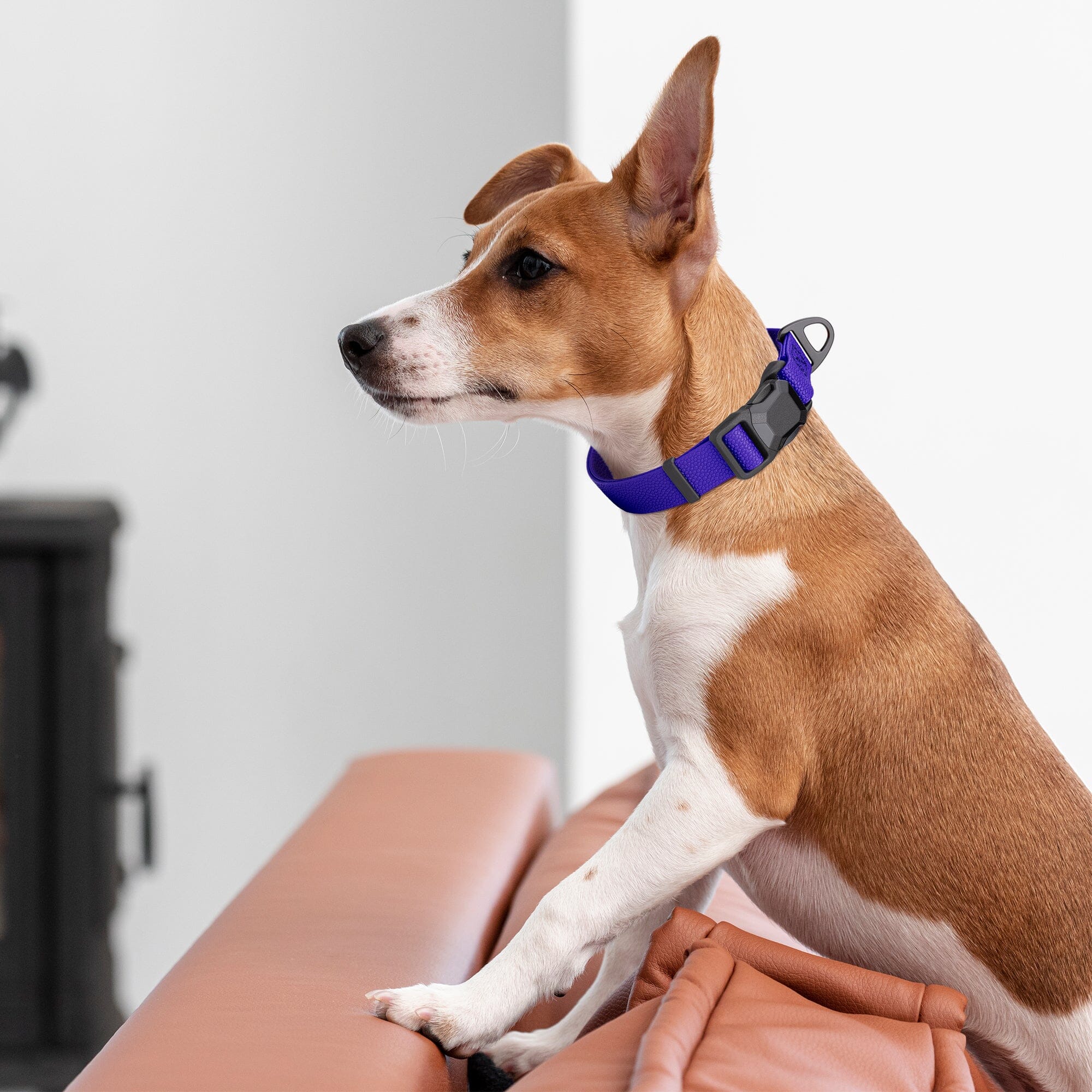 Dogline Pebble Emboss Biothane Dog Collar with Magnetic Buckle by Dogline