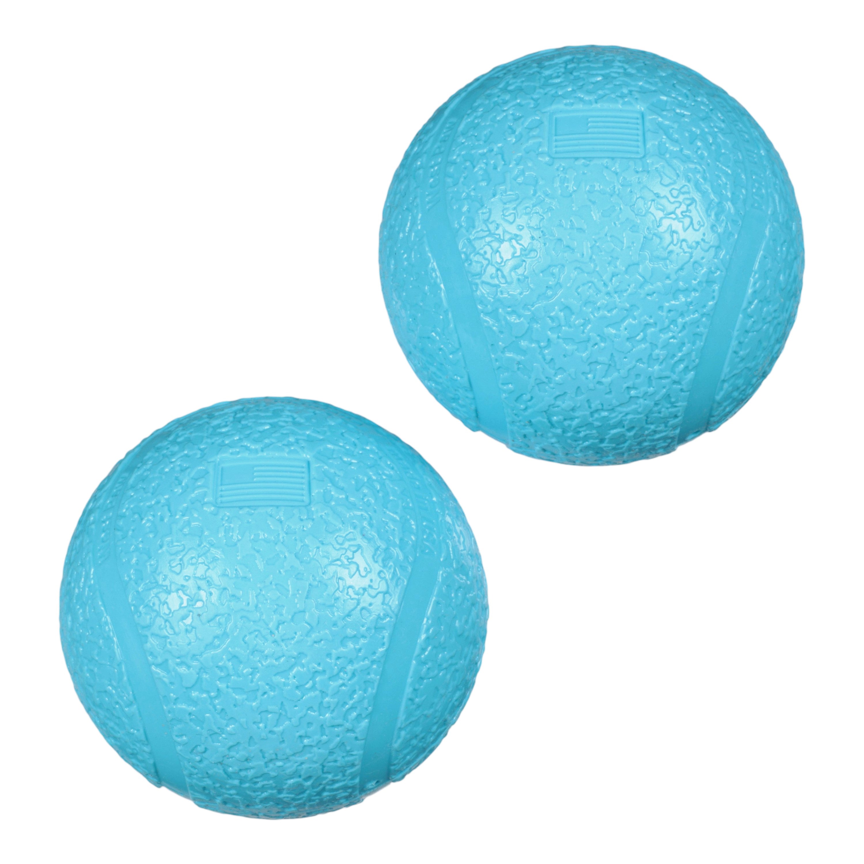 Small Boundr 2-Pack Aqua by West Paw