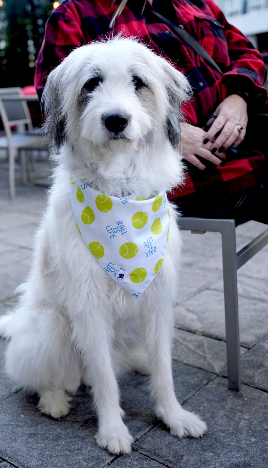 Ball Is Life Reversible Dog Bandana by Dog Bandana Co.