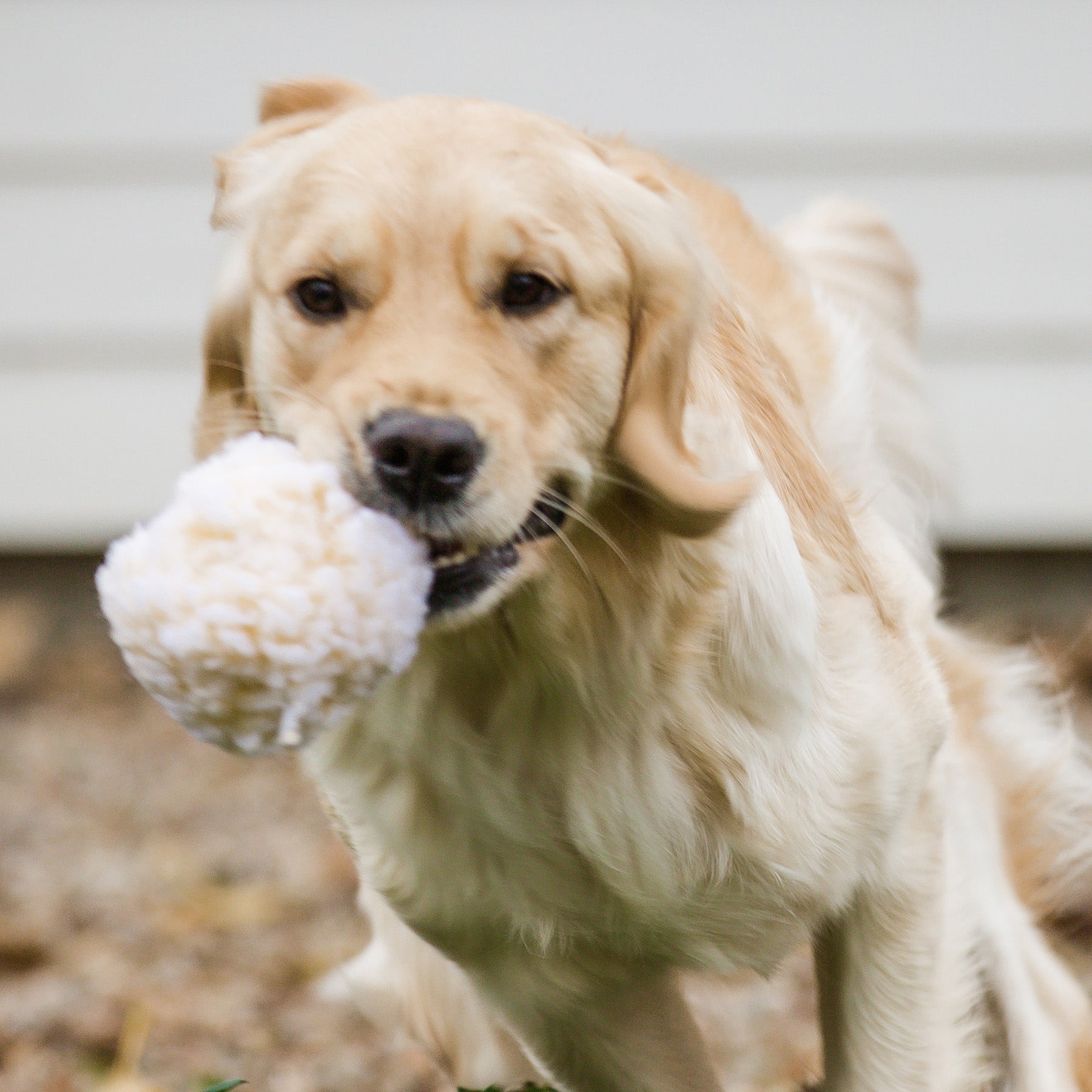 HuggleFleece® Plush Ball Dog Toy by HuggleHounds