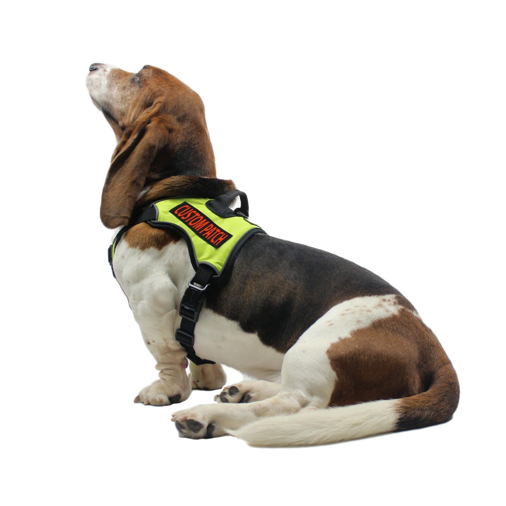 Personalized Removable Patches (Set of 2) by Dogline