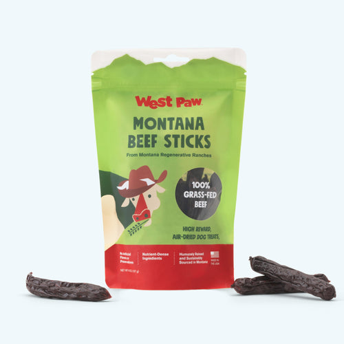 Beef Stick by West Paw
