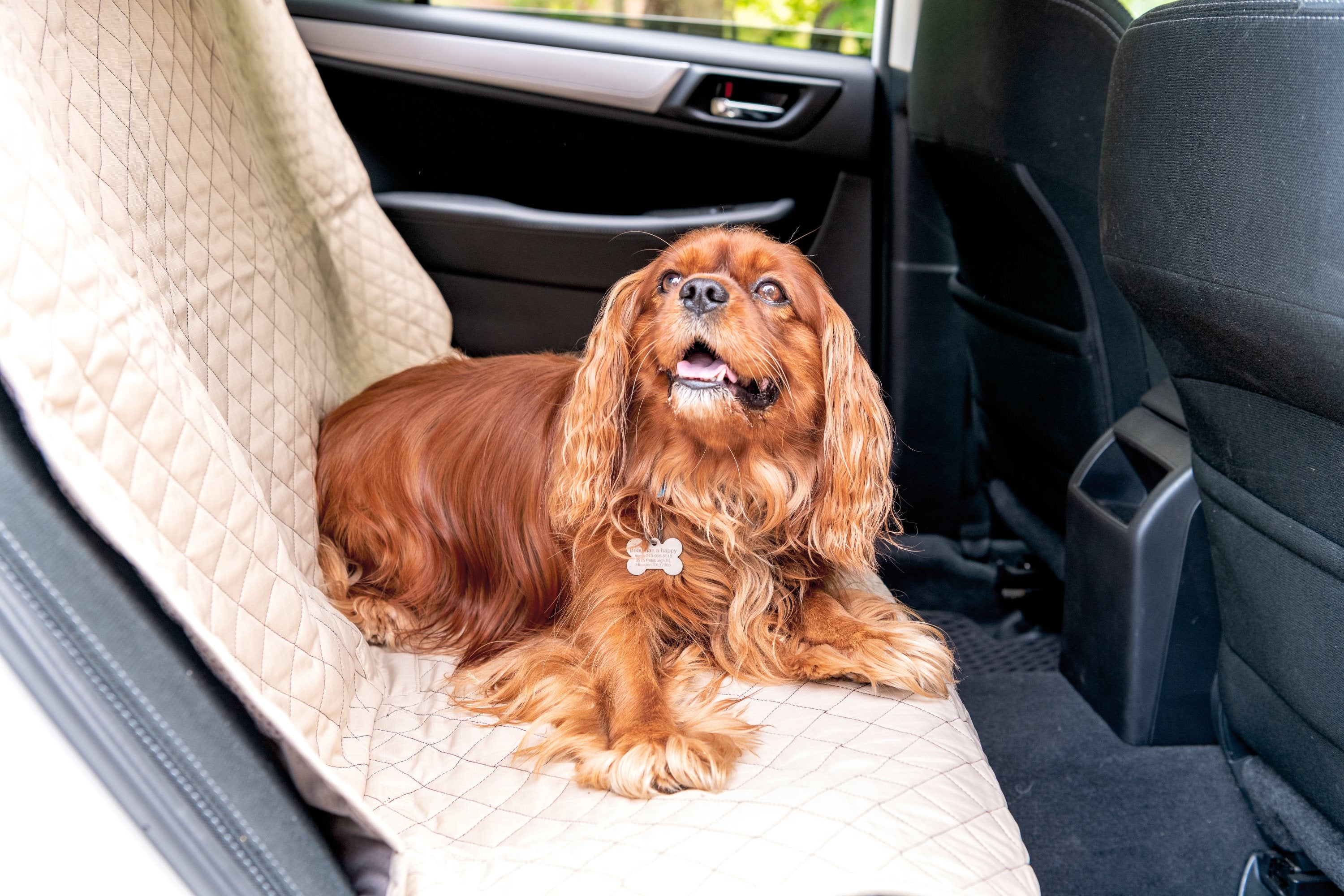 TuffutLuxx® Vehicle Protectors for Travel by HuggleHounds