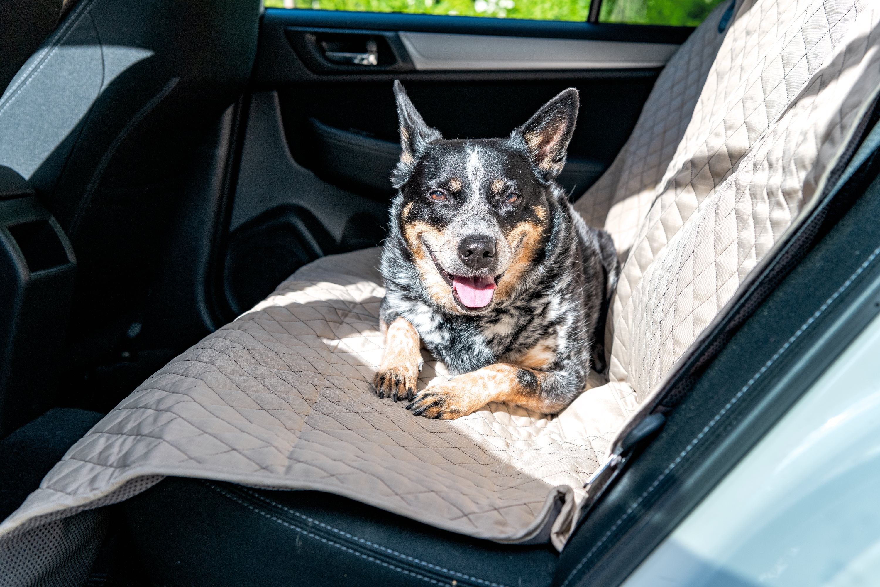 TuffutLuxx® Vehicle Protectors for Travel by HuggleHounds