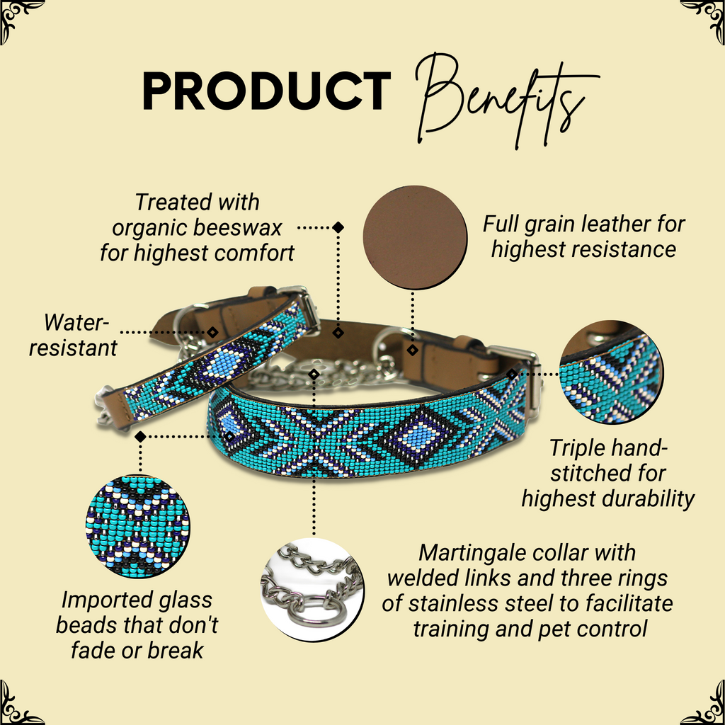 Saint-Tropez Sambboho Martingale dog collar (Training) by Sambboho
