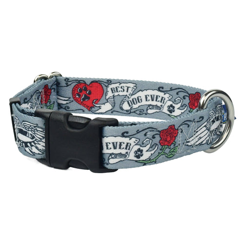Best Dog Ever Buckle Martingale Dog Collar – EarthStyle (1" Only) by 2 Hounds Design