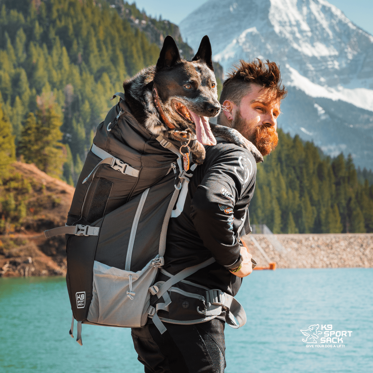 Kolossus | Big Dog Carrier & Backpacking Pack by K9 Sport Sack