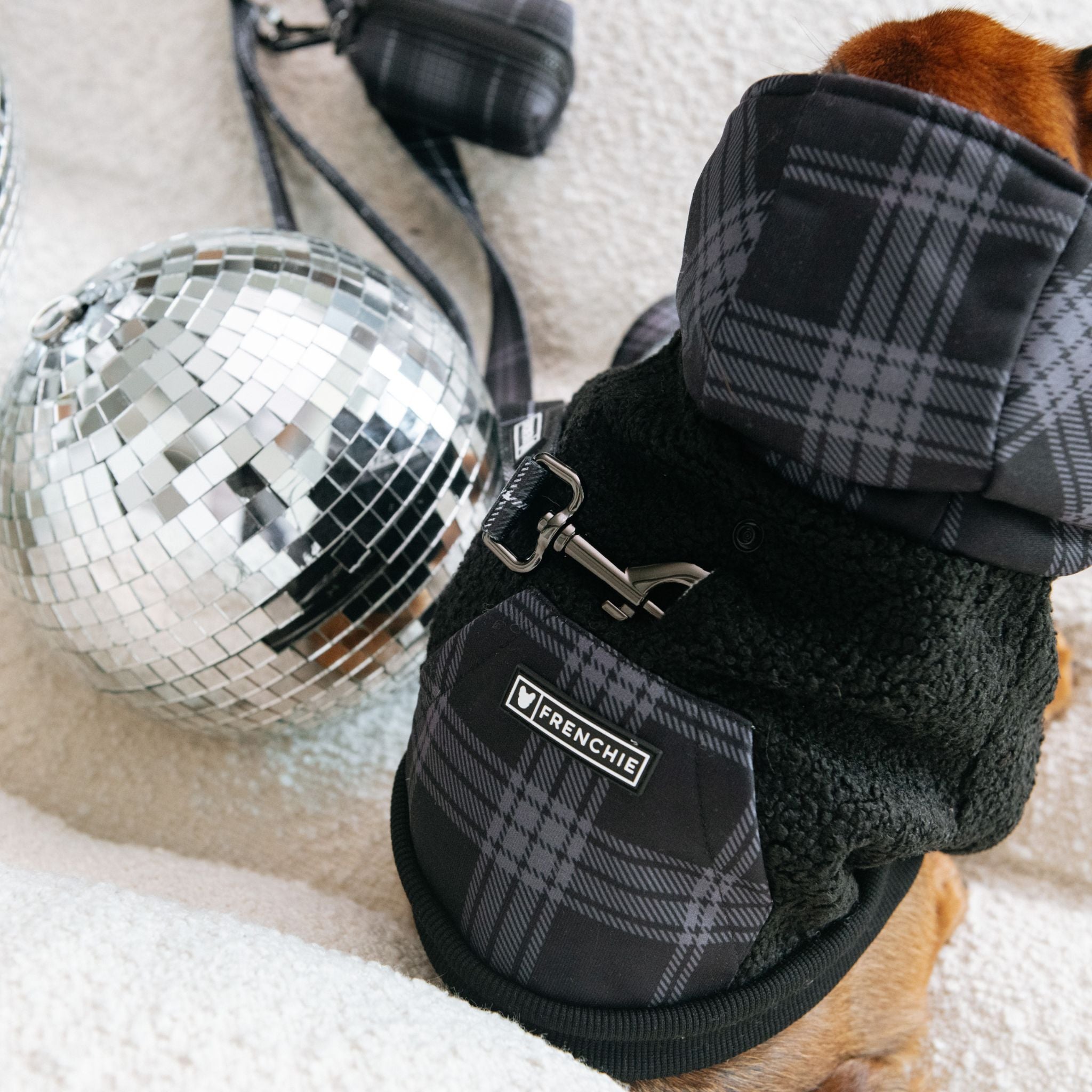Frenchie Dog Hoodie - Black Plaid by Frenchie Bulldog