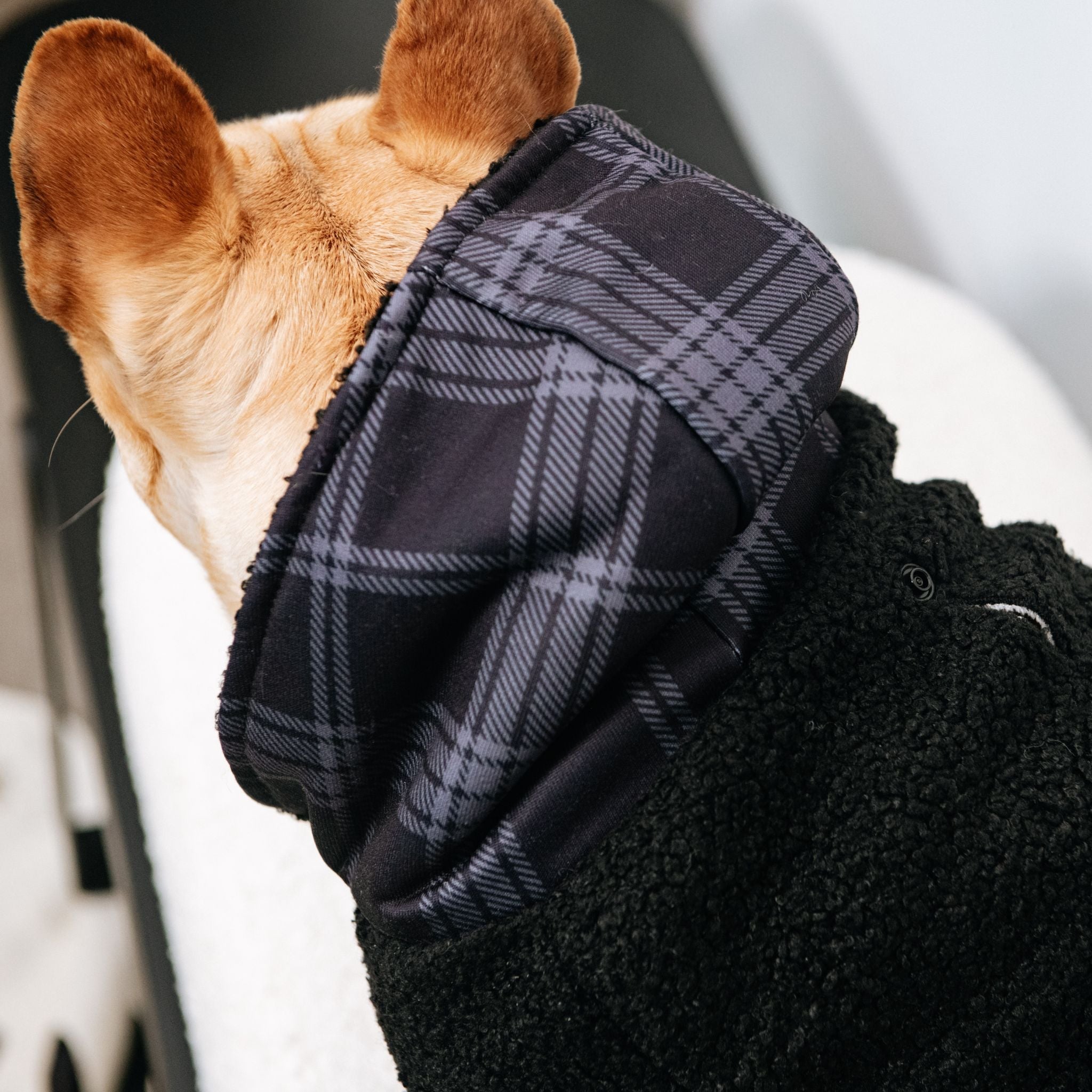 Frenchie Dog Hoodie - Black Plaid by Frenchie Bulldog