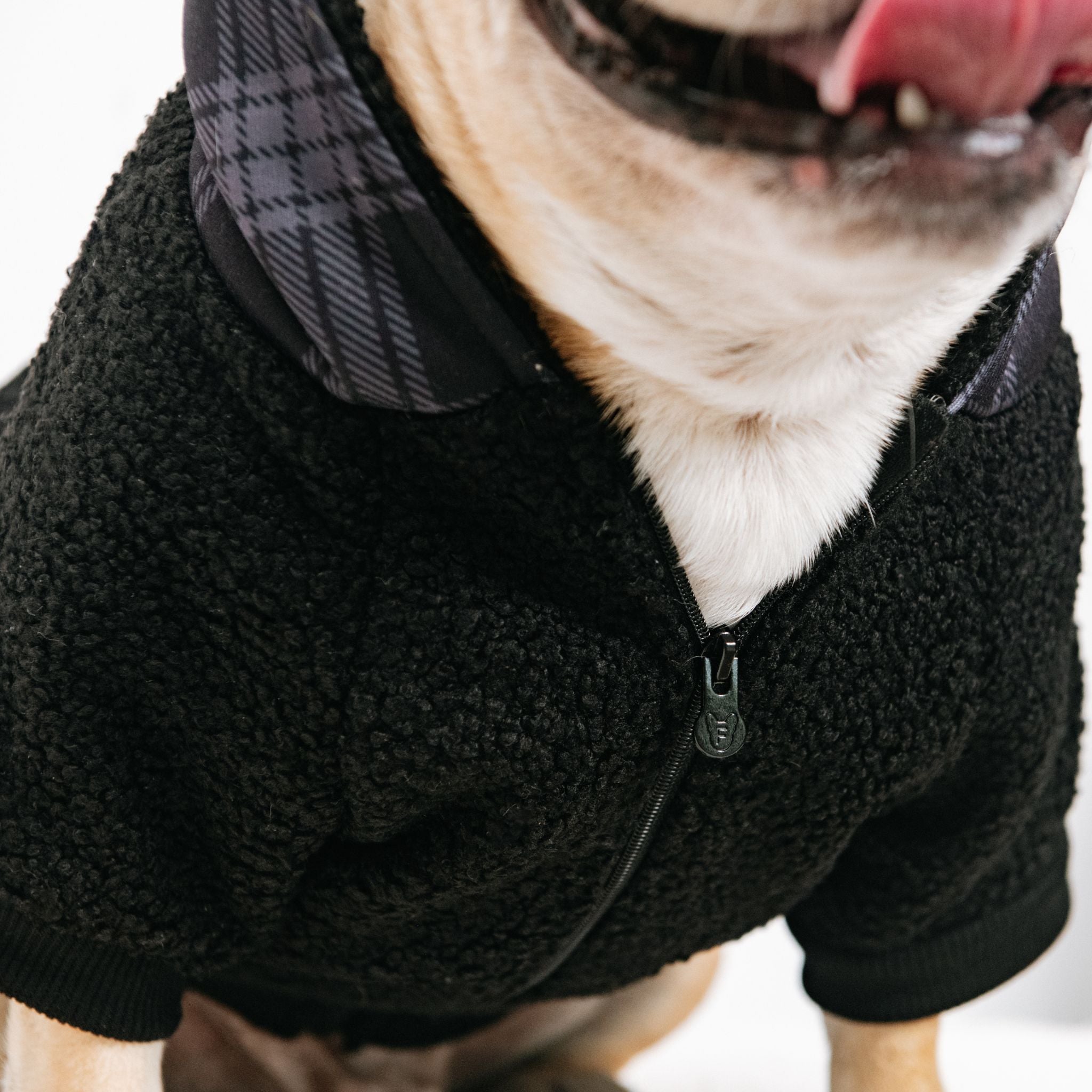 Frenchie Dog Hoodie - Black Plaid by Frenchie Bulldog