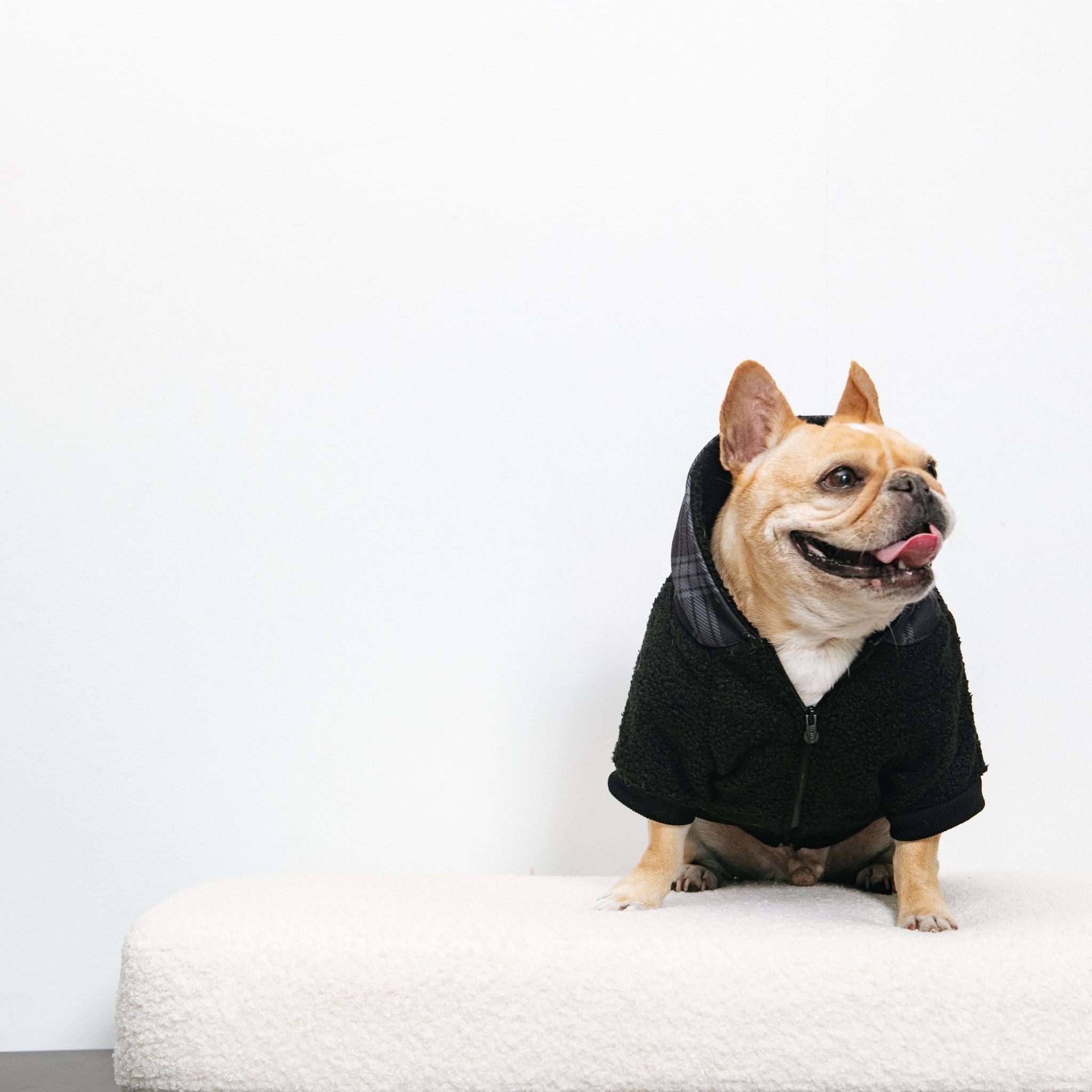 Frenchie Dog Hoodie - Black Plaid by Frenchie Bulldog