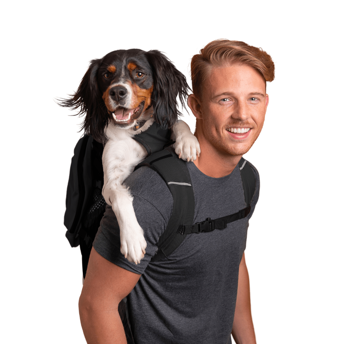 Plus 2 | Dog Carrier with Removable Storage by K9 Sport Sack
