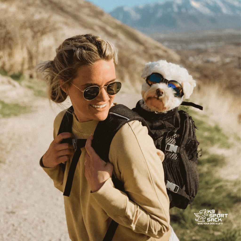 Plus 2 | Dog Carrier with Removable Storage by K9 Sport Sack