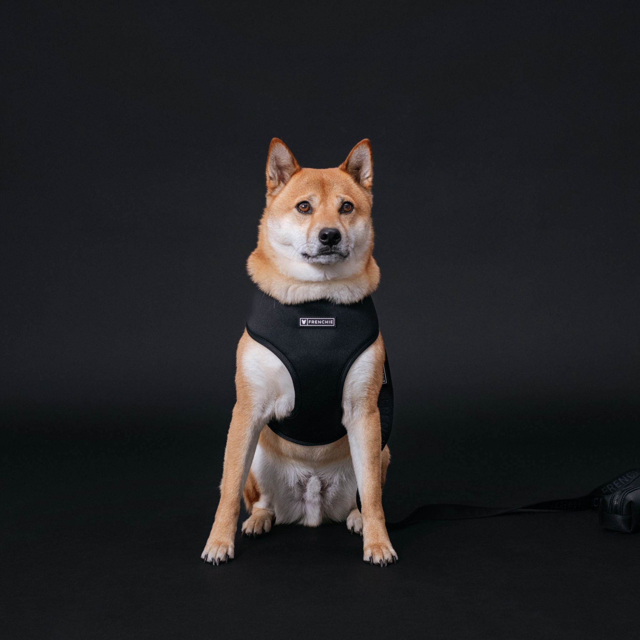 Frenchie Duo Reversible Harness - Solid Black by Frenchie Bulldog