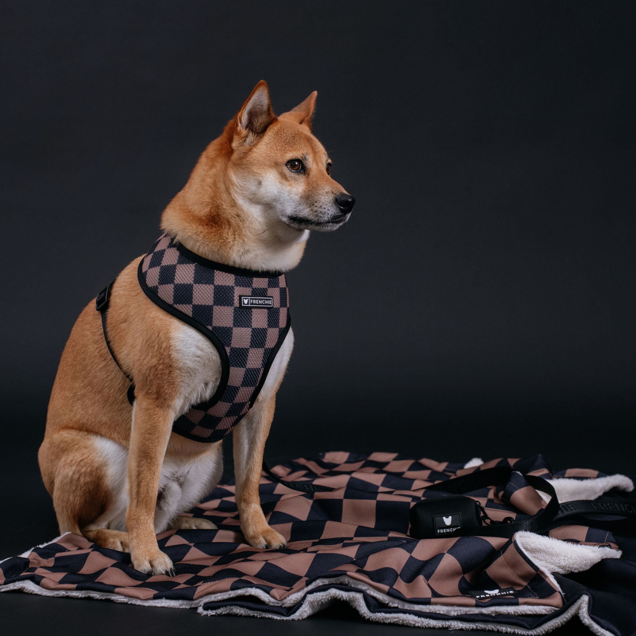 Frenchie Duo Reversible Harness - Solid Black by Frenchie Bulldog