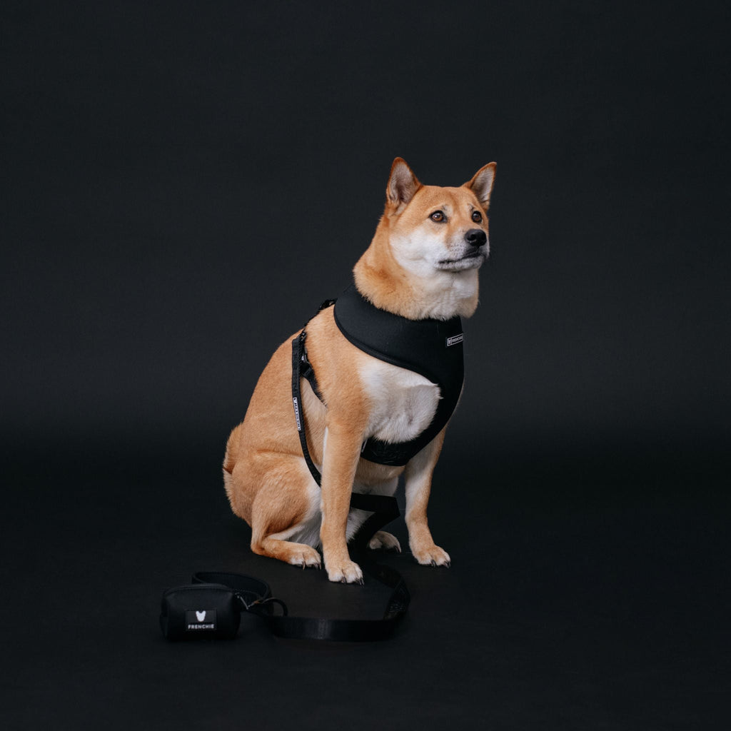 Frenchie Duo Reversible Harness - Solid Black by Frenchie Bulldog