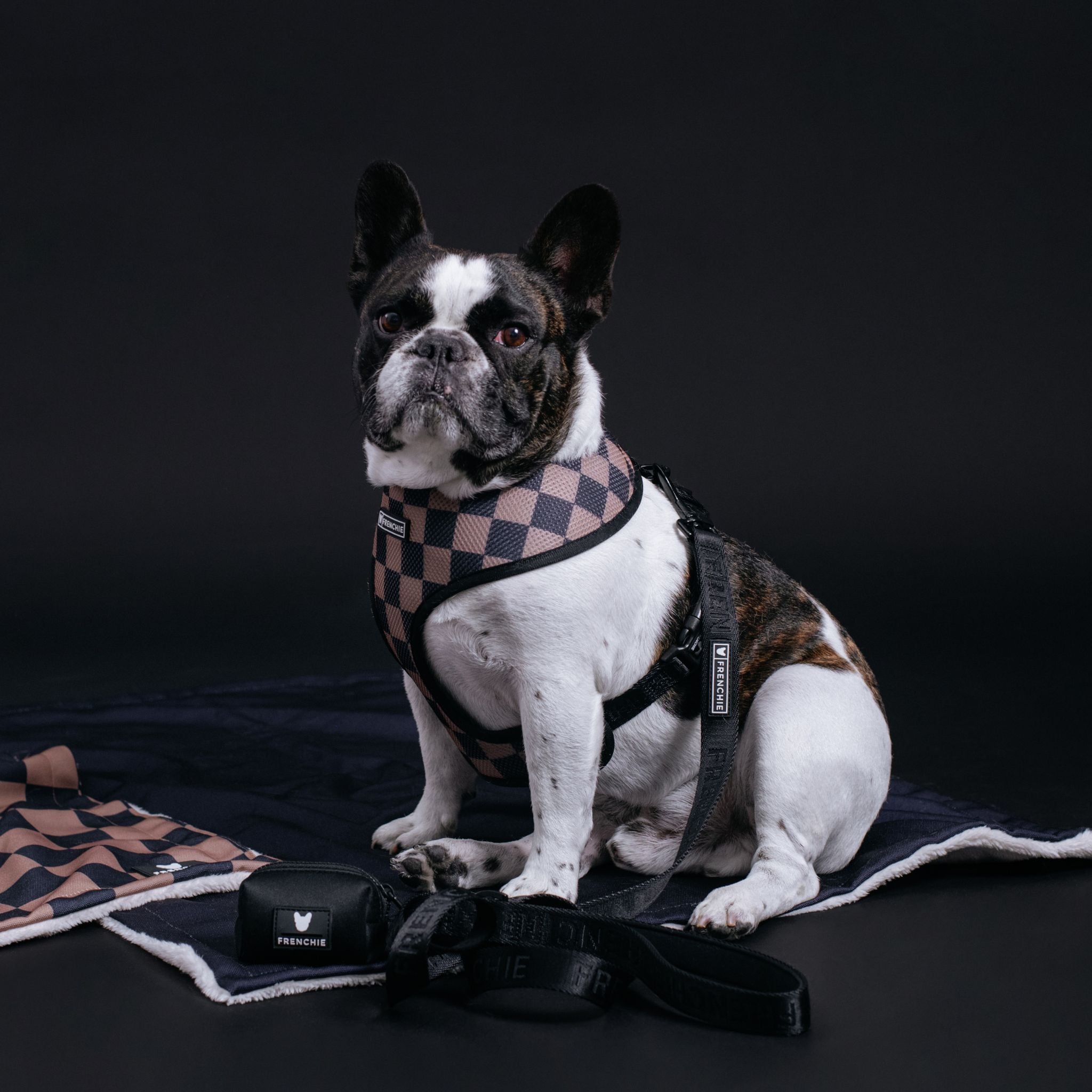 Frenchie Duo Reversible Harness - Solid Black by Frenchie Bulldog