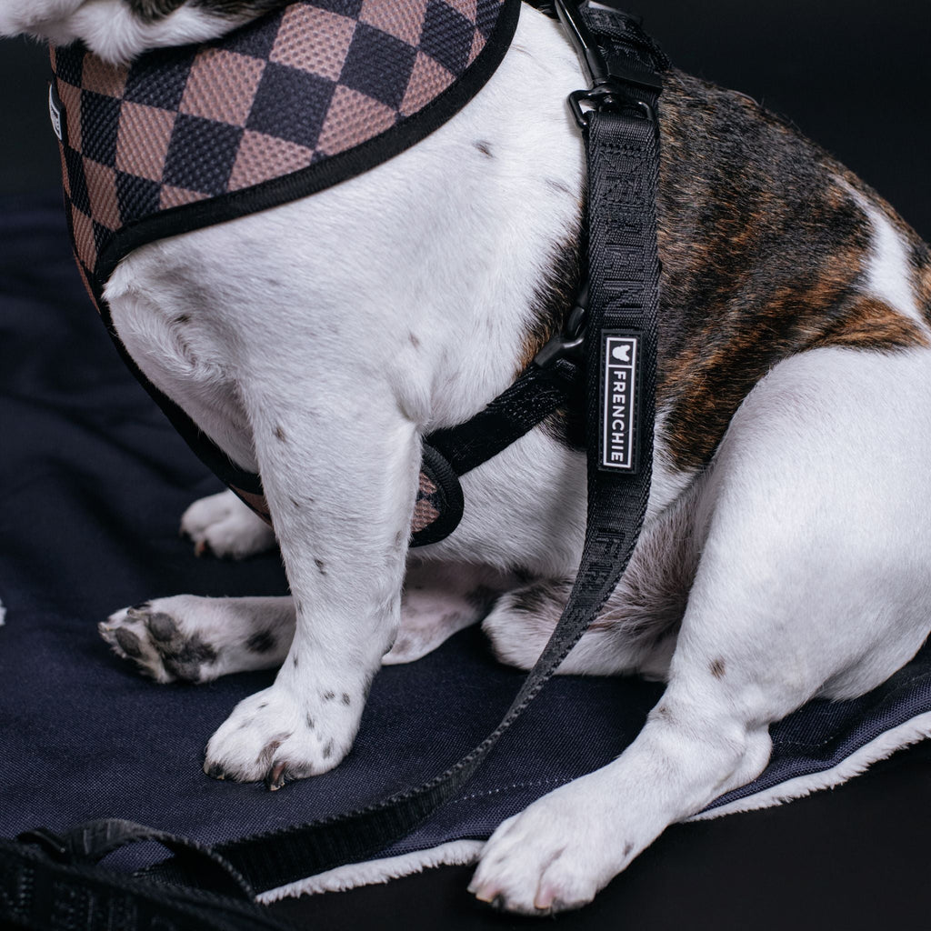 Frenchie Duo Reversible Harness - Solid Black by Frenchie Bulldog