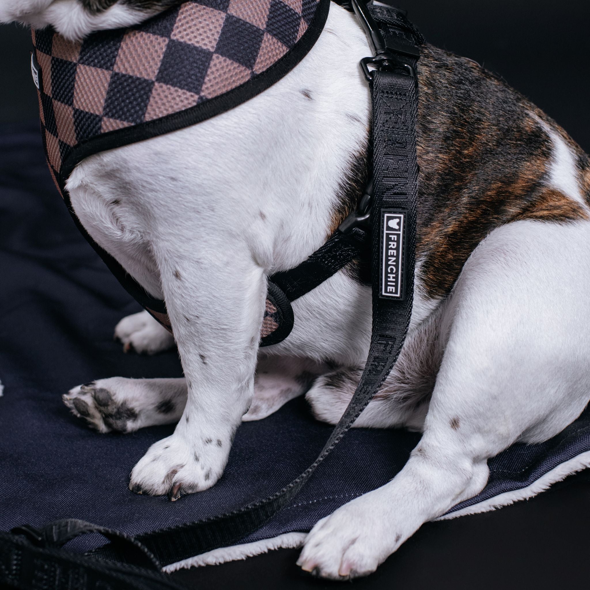 Frenchie Duo Reversible Harness - Solid Black by Frenchie Bulldog