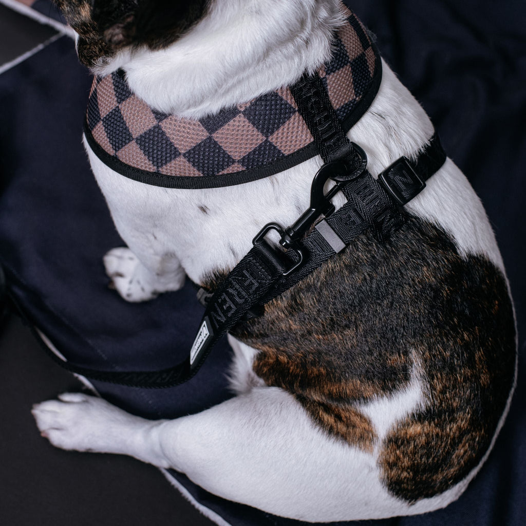 Frenchie Duo Reversible Harness - Solid Black by Frenchie Bulldog