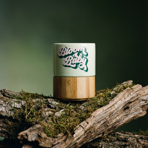 Bloom Baby Petite Ceramic Mug with Bamboo Base by The Bullish Store