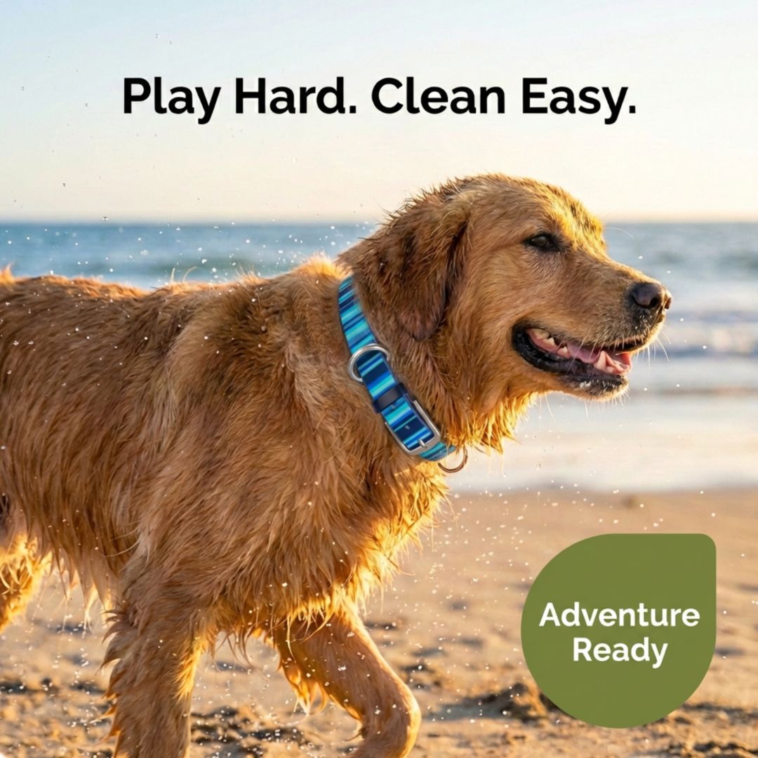 Waterproof Dog Collars – Washable Dog Collar, Stink-Proof & Durable by Rubyloo