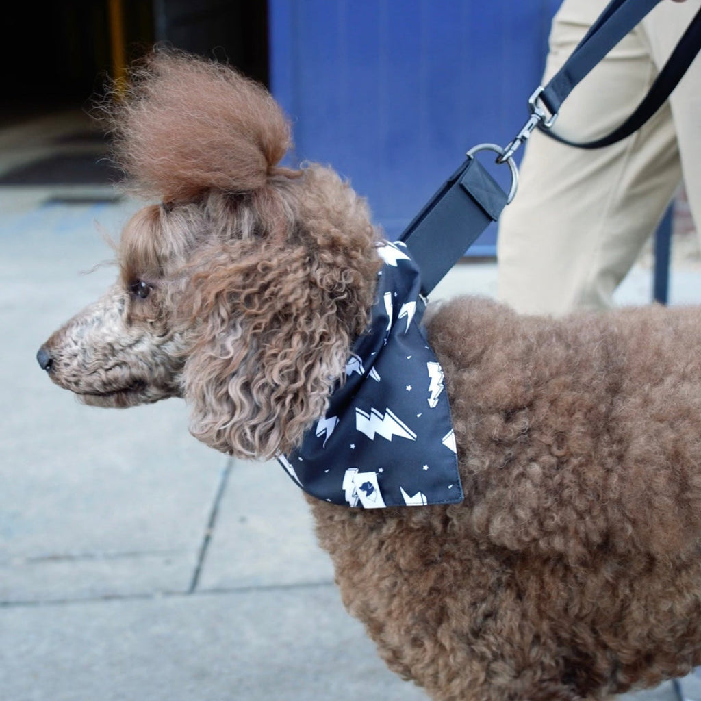 Blue Moon & Lightning Reversible Dog Bandana by Dog Bandana Co.