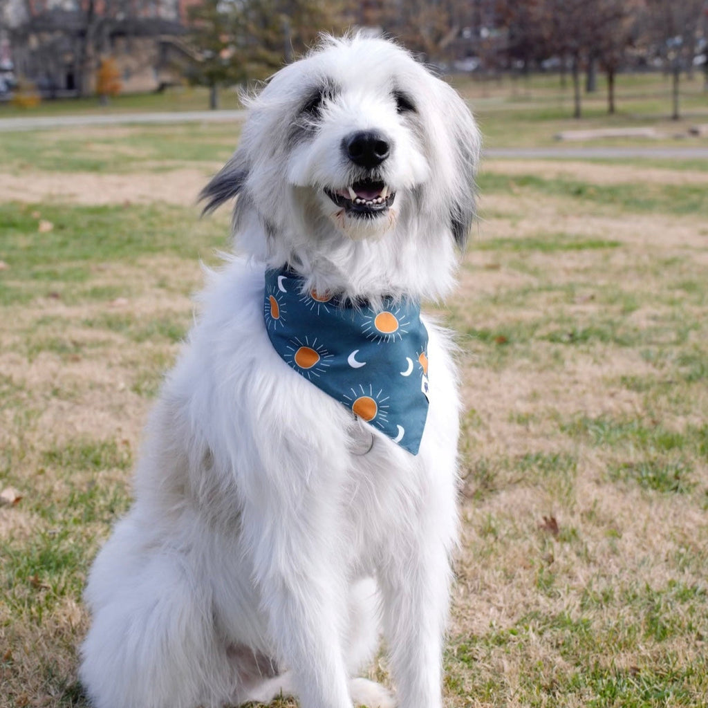 Blue Moon & Lightning Reversible Dog Bandana by Dog Bandana Co.