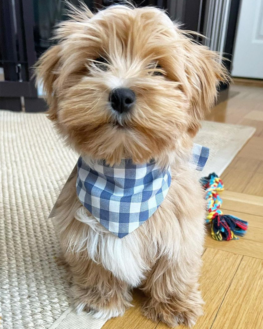 GINGHAM BANDANA