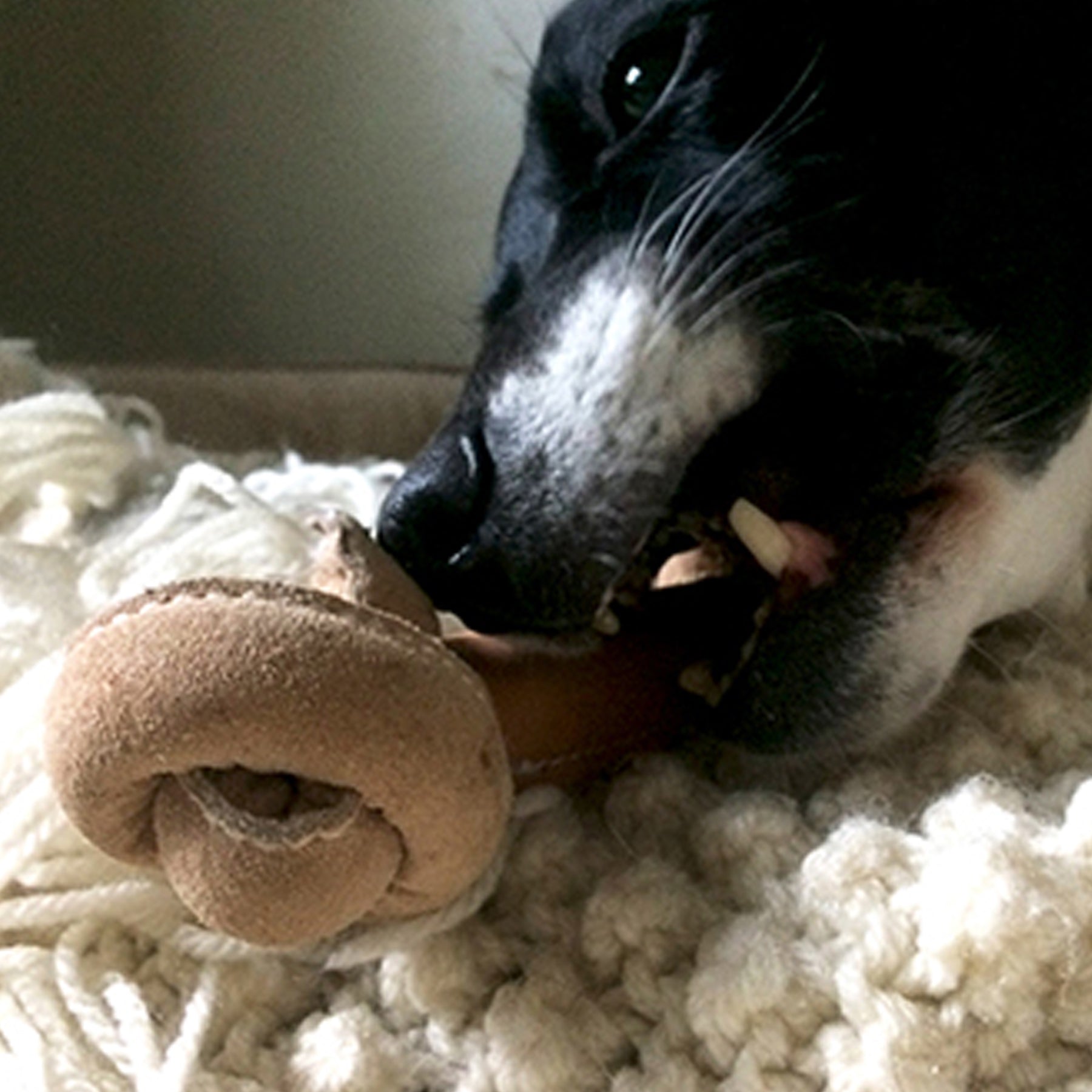 Huggle-Hide® Natural Leather Bone Dog Toy, 3 Pack by HuggleHounds