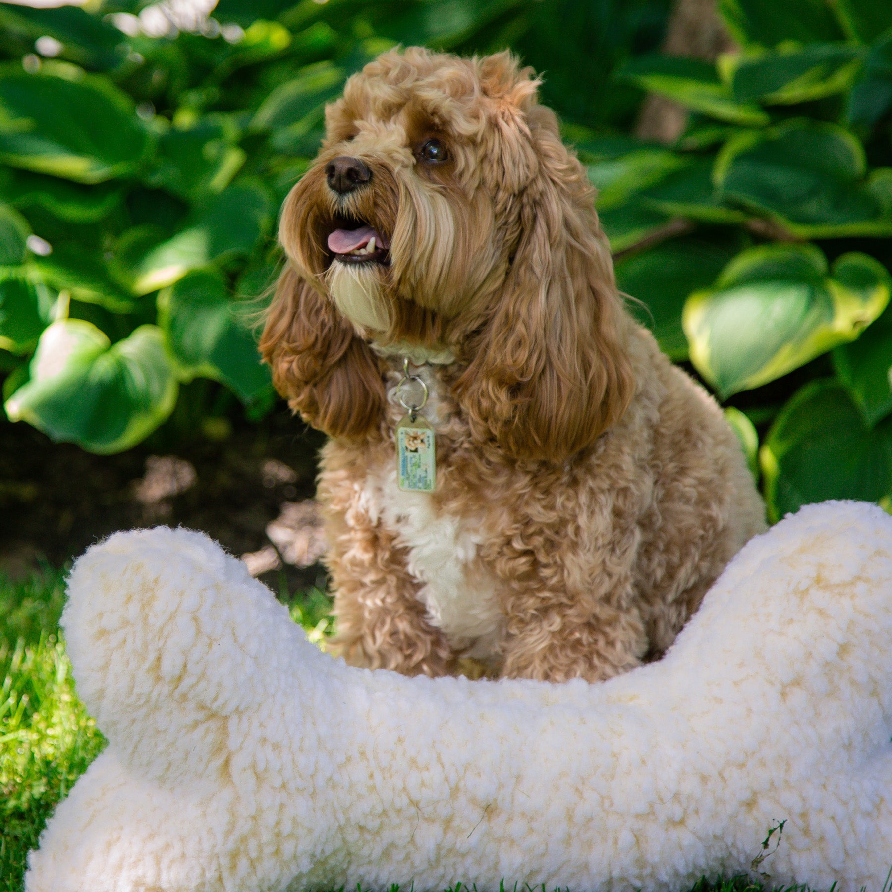 HuggleFleece® 2' Plush Bone Dog Toy by HuggleHounds