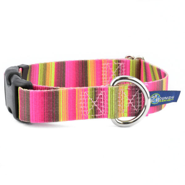 Bonnie Buckle Martingale Dog Collar – EarthStyle by 2 Hounds Design