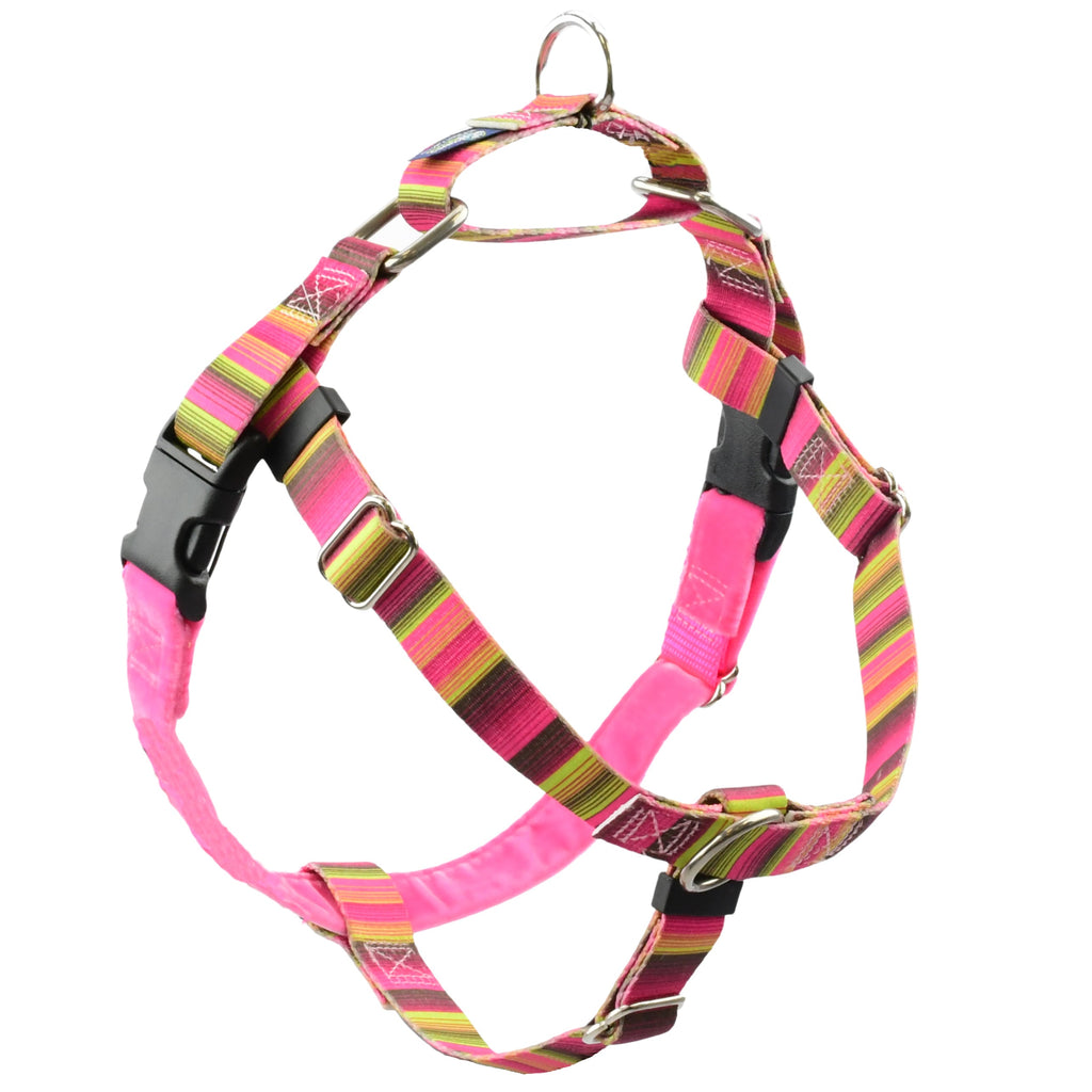 Bonnie Freedom No-Pull Dog Harness – EarthStyle by 2 Hounds Design