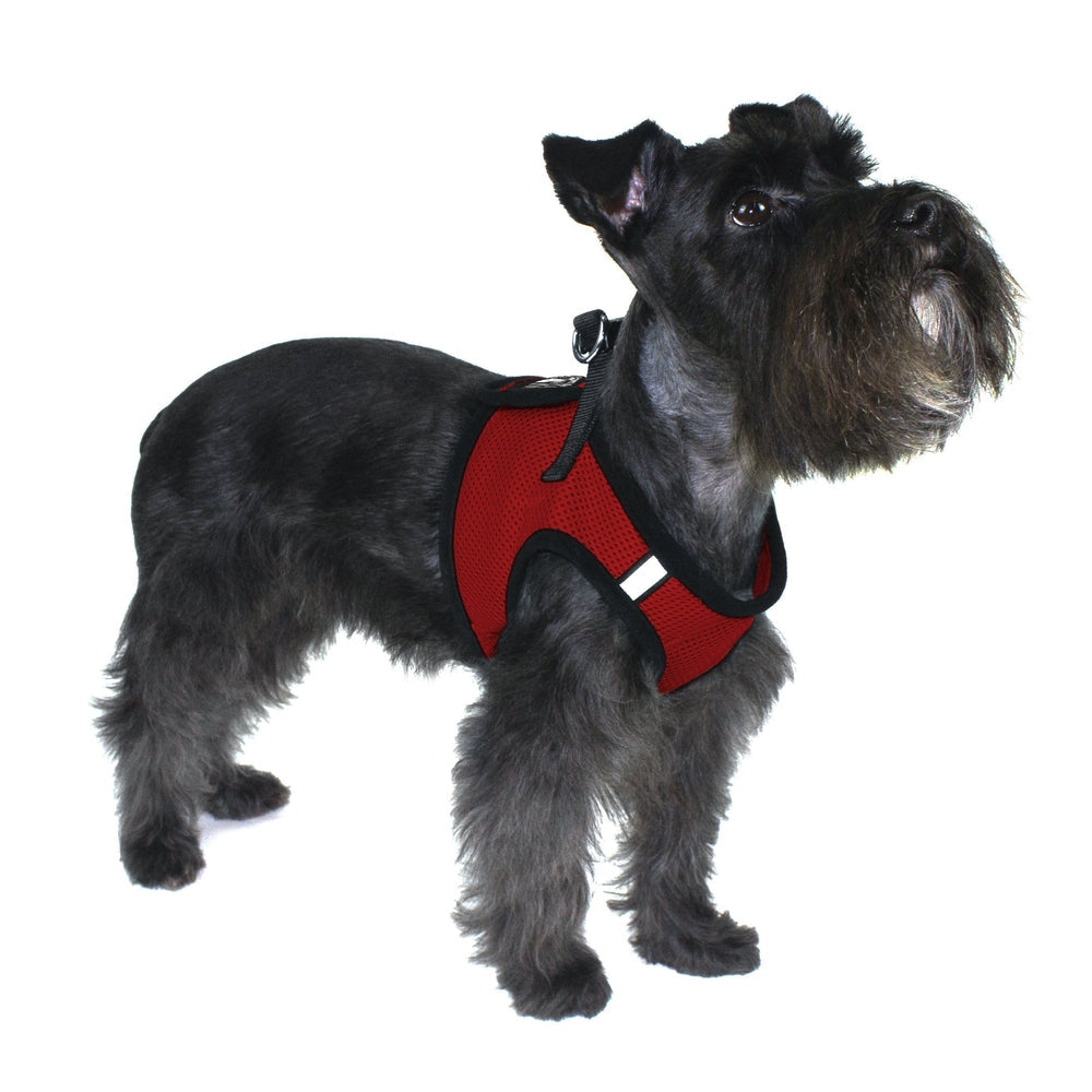 Boston Mesh Dog Harness + Built-in Hook & Loop Fastener by Dogline