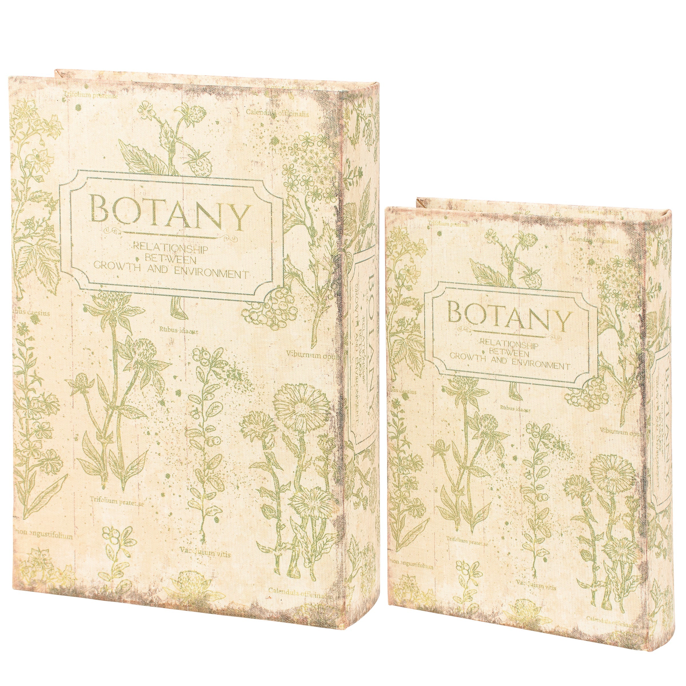 Botany Book Box Set of 2 | Vintage Book Shaped Storage Stash Trinket Boxes by The Bullish Store