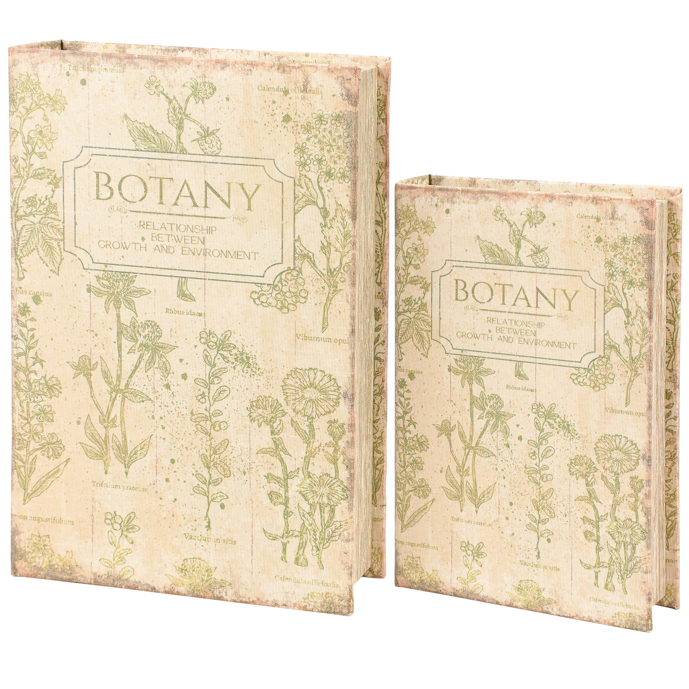 Botany Book Box Set of 2 | Vintage Book Shaped Storage Stash Trinket Boxes by The Bullish Store
